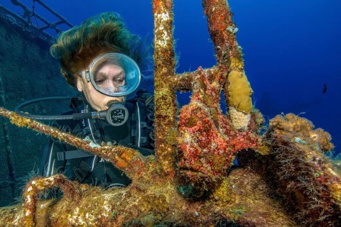Diver looking at frogfish Giant frogfish (Antennarius commersoni) in wreck shipwreck KT Mawar off