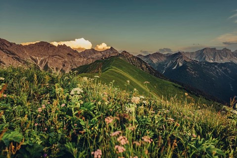 Hiking tour on the Hönig mountain in the Lechtal valley near Berwang in Tyrol, Austria, Europe