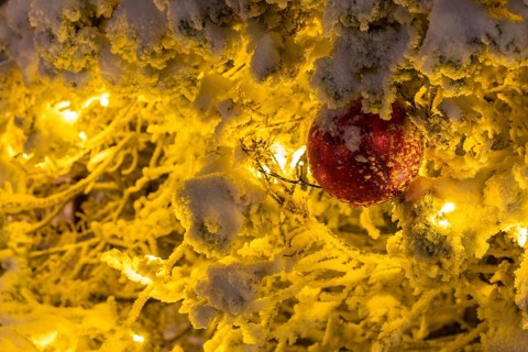 Red ball between snow-covered branches illuminated with fairy lights, still life