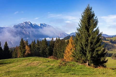 View from the Moosegg high plateau to the Hoher Göll, Golling, Osterhorn group, Salzburg province,