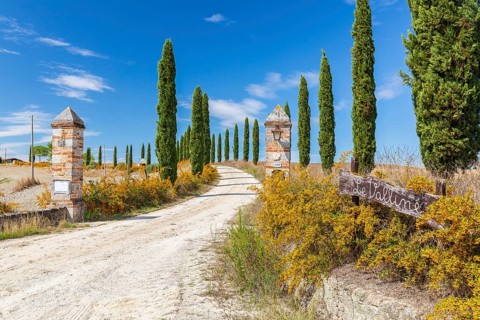 Gateway to Le Valline with avenue of columnar cypresses (Cupressus sempervirens) near Siena,