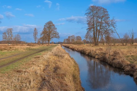 View of the vegetation along the Fangegraben and cycle path at the Steinhuder Meer, ditch, trees,