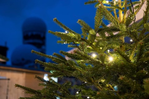 A Christmas tree at the Christmas market in front of the former listening station on the