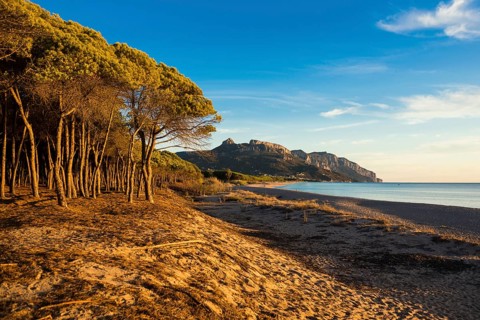 Lonely sandy beach and pine forest, Spiaggia di Isula Manna, sunrise, Santa Maria Navarrese, Gulf