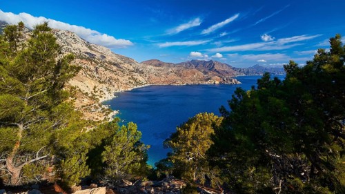 Wide view of the sea with mountains in the background and dense pine trees in the foreground under