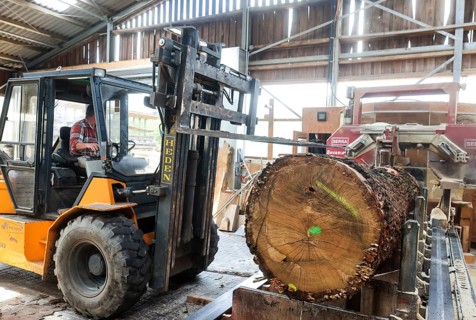 Solingen, North Rhine-Westphalia, Germany - Oak logs are placed on the band saw by the forklift