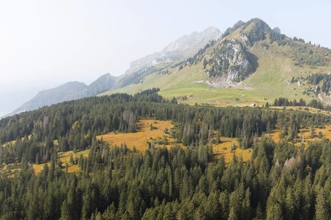 View of the Hinter Höhi moorland in autumn colours, in the background the mountain range with the