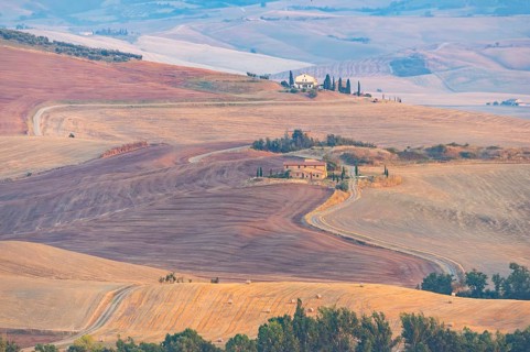 Typical Tuscan landscape in Val d'Orcia with hills, trees, fields, cypresses and farm road in