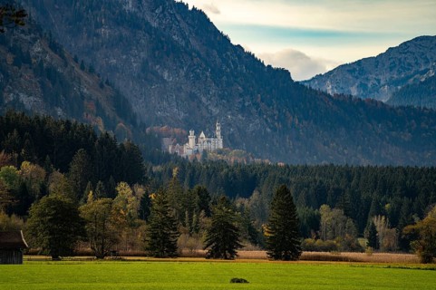 Neuschwanstein Castle in the landscape of Schwangau, Allgäu, Bavaria, Germany, Europe