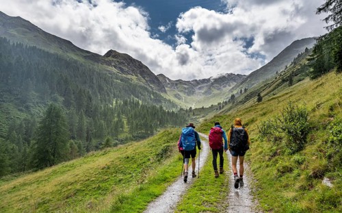 Mountaineer on a forest path in Mullitztal, ascent to Lasörlinghütte from Virgental,