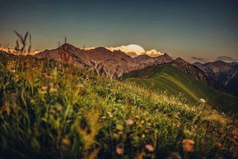 Hiking tour on the Hönig mountain in the Lechtal valley near Berwang in Tyrol, Austria, Europe