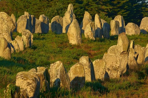 Neolithic menhirs, standing stone row in Carnac with sunrise, Carnac, Quiberon, Morbihan, Brittany,