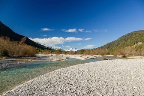 Isar valley nature conservancy area on an early sunny morning. The wild Isar river flows through