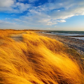 Lonely empty beach in the evening light, beach grass bends in the wind, blue sky with clouds,
