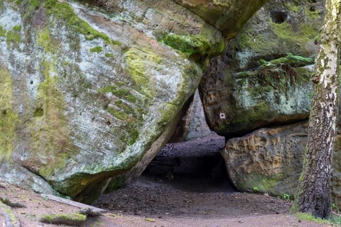 Rocky landscape at the Diebskeller or Götzinger Cave at the Kleiner Bärenstein, Thürmsdorf,