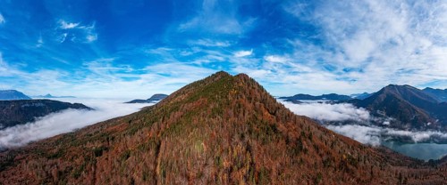 Drone shot, autumn forest and sea of fog around the Schwarzenberg, Puch near Hallein, Osterhorn