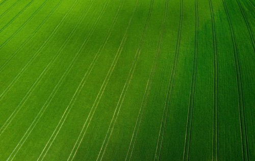 Drone image, grain field with lanes on the field, from above, agriculture, Innviertel, Upper