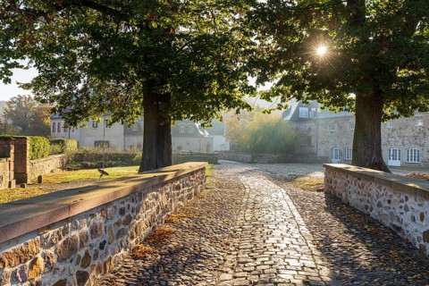 Atmospheric morning light at Gutshof Döben, Grimma, Saxony, Germany, Europe