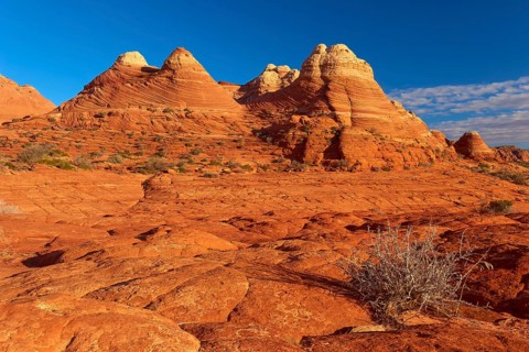 Red sandstone rocks in a desert landscape under a clear blue sky, Coyote Buttes, Arizona, USA,