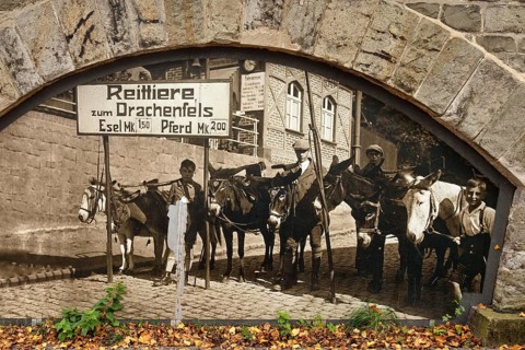 Old photo on the Eselsweg, the ascent to Drachenfels, Königswinter, Siebengebirge, North