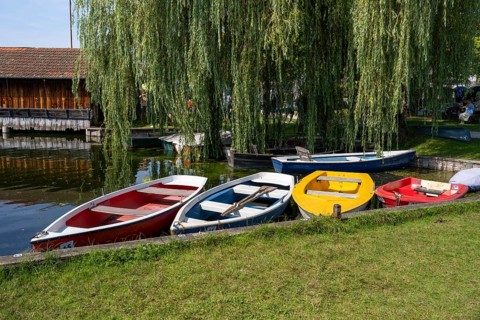 Rowing boats on the shore of Staffelsee, Seehausen, Upper Bavaria, Bavaria, Germany, Europe