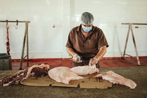 Cutting up a slaughtered dromedary (camelus dromedarius), camel slaughter, Salalah slaughterhouse,