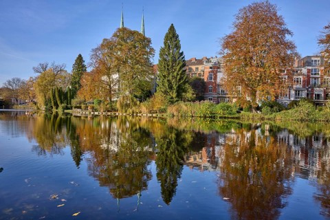 Mill pond with trees, general development, reflections on the water surface, Hanseatic city of