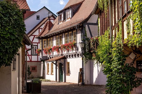 Magnificent restored half-timbered house, guest house at the Bienentor, decorated with geraniums,