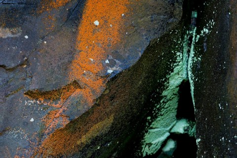 Rock covered with orange and green lichen, Mykines, Útoyggjar, Faroe Islands, Denmark, Europe