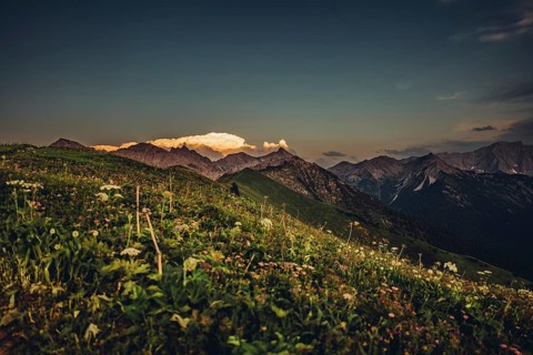Hiking tour on the Hönig mountain in the Lechtal valley near Berwang in Tyrol, Austria, Europe