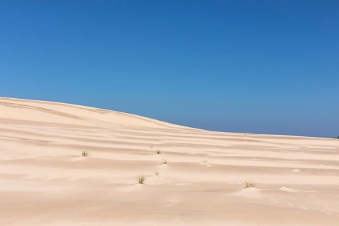 Lacka Dune on a sunny day with a blue sky in the Slowinski National Park, northern Poland on the