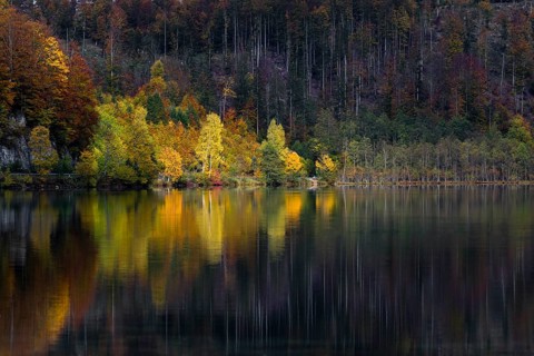 Lake Almsee in autumn with a forest reflected in the lake