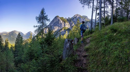 Hiker on the way to the Rinnkogel, Postalm, Osterhorn group, Salzkammergut, Salzburg province,