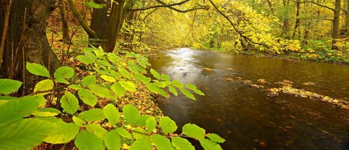 Autumn on the Schwarza river in the Schwarzatal valley between Bad Blankenburg and Schwarzburg,
