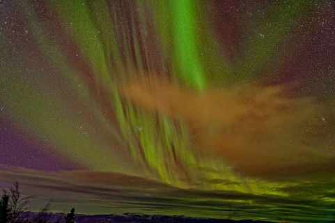 Aurora Borealis, Northern Lights, extreme starry sky, Yukon Territory, Canada, North America