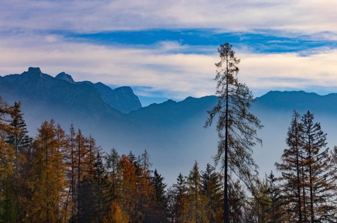 View from the Moosegg high plateau to the Tennengebirge mountains, Golling, Osterhorngruppe,