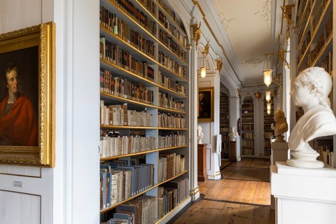 Central Rococo Hall of the Duchess Anna Amalia Library in Weimar, Thuringia, Germany, Europe