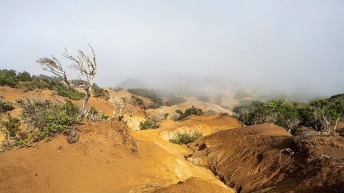 Clouds of fog, yellow earth, erosion, near Arguamul, La Gomera, Canary Islands, Spain, Europe