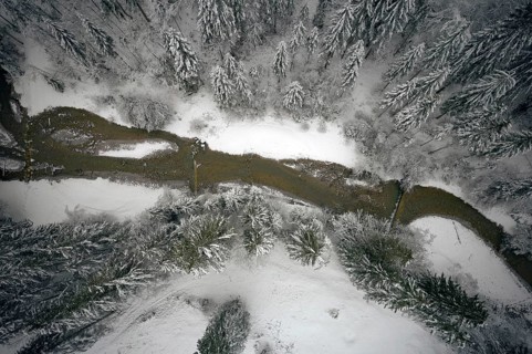 Gießenbach, winter, snow-covered trees, drone shot, without horizon, Kiefersfelden, Upper Bavaria,