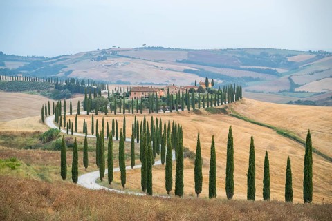 Typical Tuscan landscape in Crete Senesi with hills, trees, fields, cypresses and farm road in