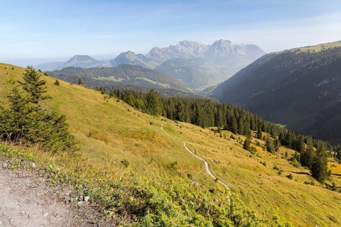 Leistbach valley, in the background the mountains with the Säntis, St. Gallen, Switzerland, Europe