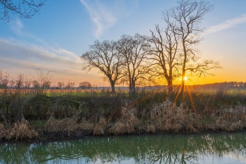 View across a ditch to the silhouettes of non-leafy trees at sunset, Kirchlinteln, Verden, Aller