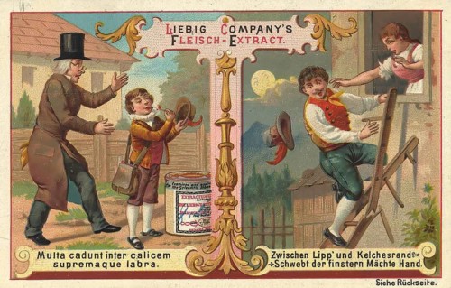 Picture series Sayings and Wisdom, Multa cadunt inter calicem supremaque labra, Between Lipp and