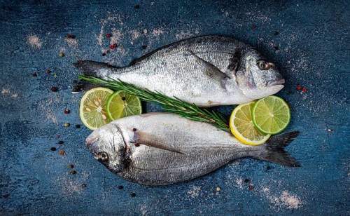 Fresh, raw dorado fish, on a dark blue background, top view, two pieces, no people