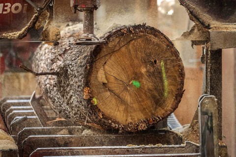 Solingen, North Rhine-Westphalia, Germany - Oak logs on the bandsaw in the sawmill, construction