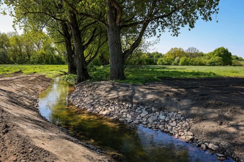 Haltern, North Rhine-Westphalia, Germany, Renaturalised, newly designed Gecksbach. Flood protection