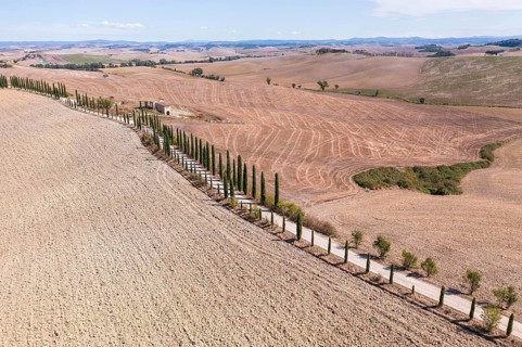 Aerial view of an avenue of columnar cypresses (Cupressus sempervirens) and hills near Siena,