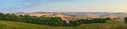 Typical Tuscan landscape in Crete Senesi with hills, trees, fields, cypresses and farm road in