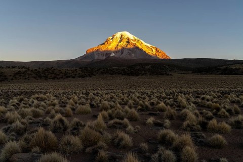 Nevado Sajama at sunset, snow-capped volcano, puna vegetation, Sajama National Park, Curahuara de