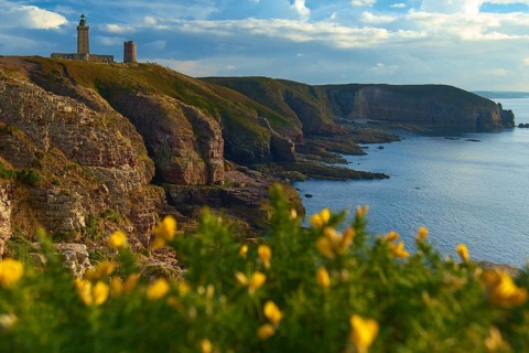 Coastal landscape with cliffs and sea, a lighthouse at Cap Frehel, gorse in the foreground, Cap